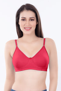 Helen Molded Bra ( pack Of 5PC & 3 PC )