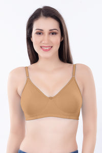 Helen Molded Bra ( pack Of 5PC & 3 PC )