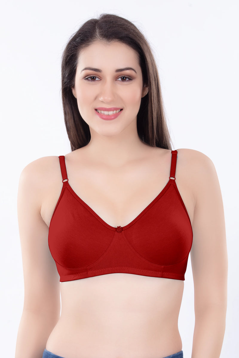 Helen Molded Bra ( pack Of 5PC & 3 PC )
