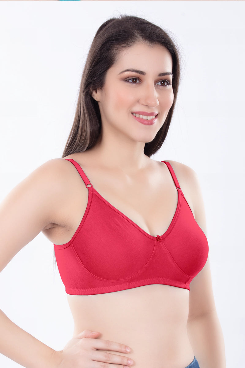 Helen Molded Bra ( pack Of 5PC & 3 PC )